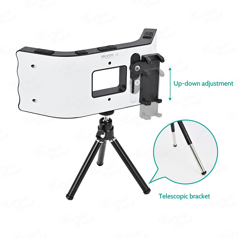 Kit de fotografía Dental, lint - Photography Lighting Flash reseña y precio