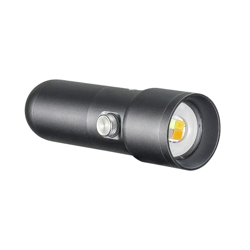 SL15 10W Mini Luz LED de Fotog - Portrait Photography With Lighting reseña y precio